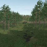 Pinewood Forest Next Generation2