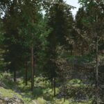 Pinewood Forest Next Generation3