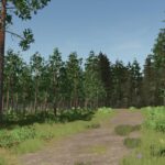 Pinewood Forest Next Generation4