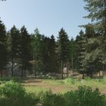 Pinewood Forest Next Generation5
