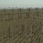 Power poles4