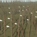 Power poles5