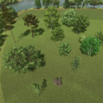 Profit Per Tree
