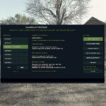 Save Gameplay Settings2