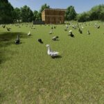 Small Lithuanian Village Edit5