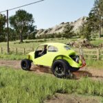Volkswagen Beetle Brazil5
