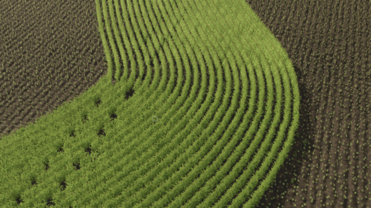 Wasceca County RCS