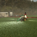 Weed Cleaner - Dead Weeds Disappear2