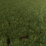 Weed Cleaner - Dead Weeds Disappear3