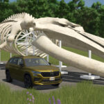 Whale Skeleton Sculpture3