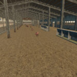 XXL Pig Barn3