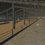 XXL Pig Barn4