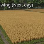 24 Hour Crop Growth3