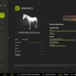Automatic Horse Care