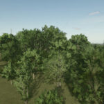 Base Trees Prefab2