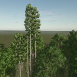 Base Trees Prefab3