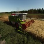 Claas Dominator 565
