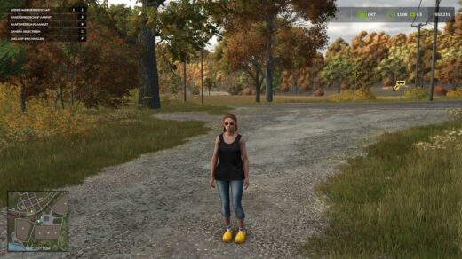 Dutch clogs