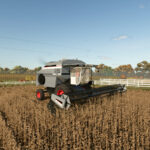 Improved Soybean Textures With Destructible Stubble4