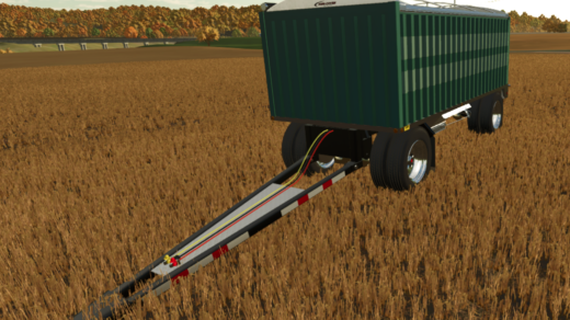 Kann Grain Pup