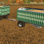 Kann Grain Pup4