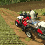 MF 9030 - VALTRA BS2225H4