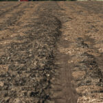 Manure Clumps3
