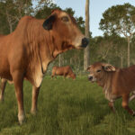 New expansion: Beans & Alpacas are coming