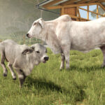 New expansion: Beans & Alpacas are coming