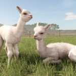 New expansion: Beans & Alpacas are coming