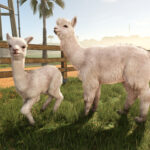 New expansion: Beans & Alpacas are coming