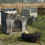 Pack Of Old Dog Houses
