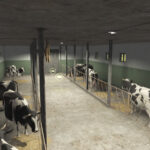 Polish Cowshed With Pasture4
