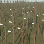 Power Poles5