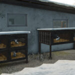 Rabbit Cages4