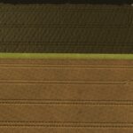 Reduced Organic Fertilizer Usage3