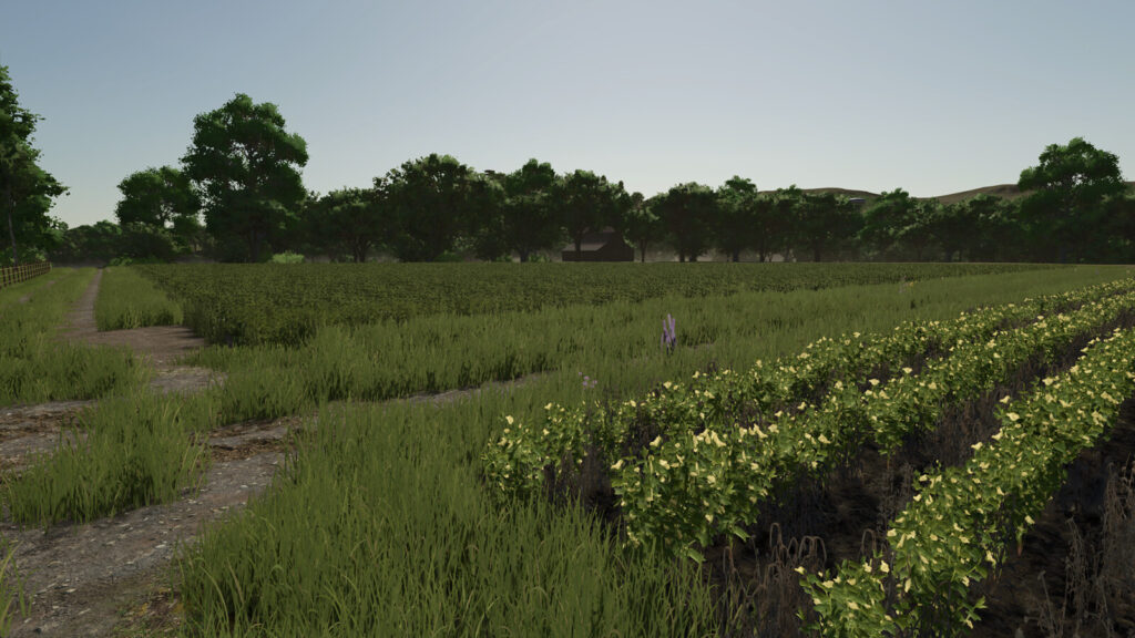 Repopulate Fields