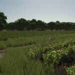 Repopulate Fields