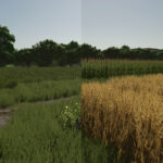 Repopulate Fields2