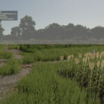 Repopulate Fields4