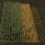 Row Seeding Barley, Oat, Wheat, Canola (Prefab*) V1.0