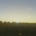 Shaders by Zephy3