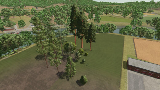 Silverrun Trees