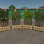 Silverrun Trees2