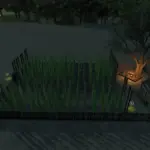 Small hop plantation v1.04