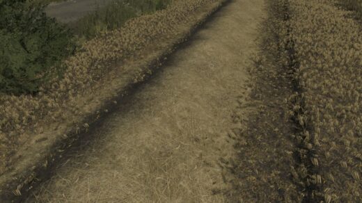 Straw and stubble texture