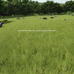 To Pasture And Back2