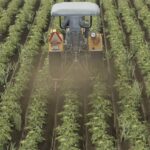 Weeder5