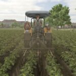 Weeder6